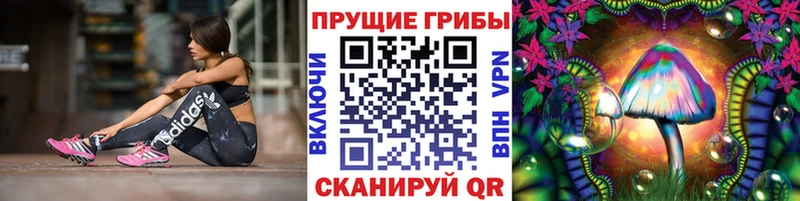 цены наркотик  Тында  Галлюциногенные грибы Psilocybine cubensis 